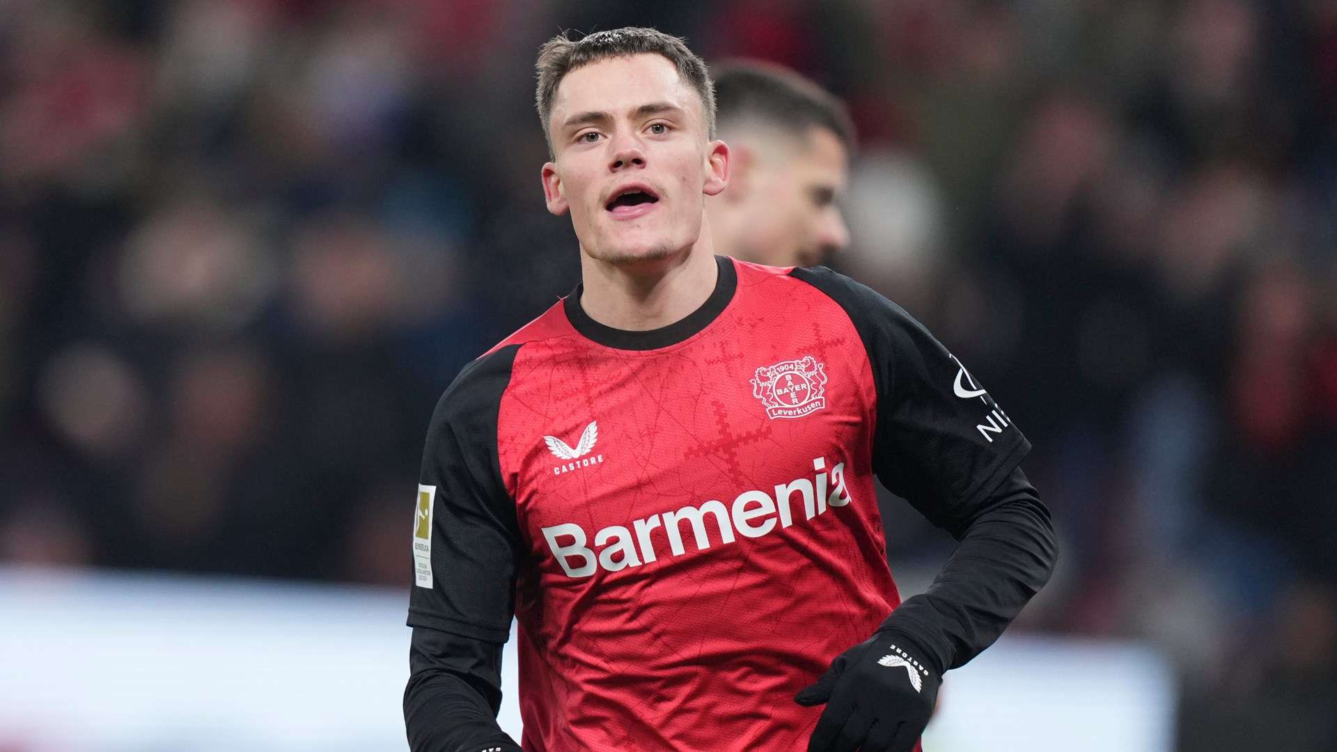 的灵活性 的灵活性