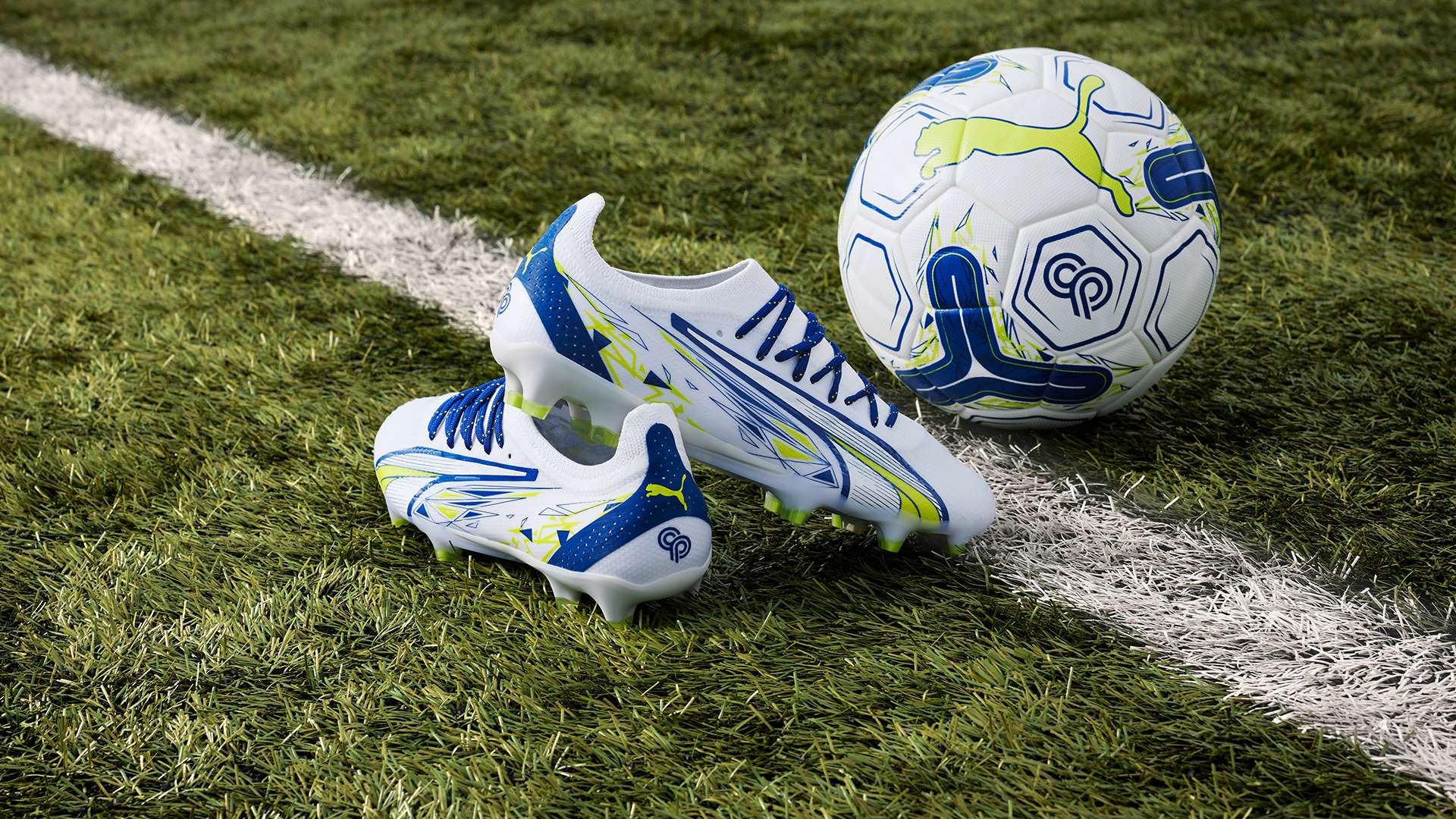 如果他能够 如果他能够