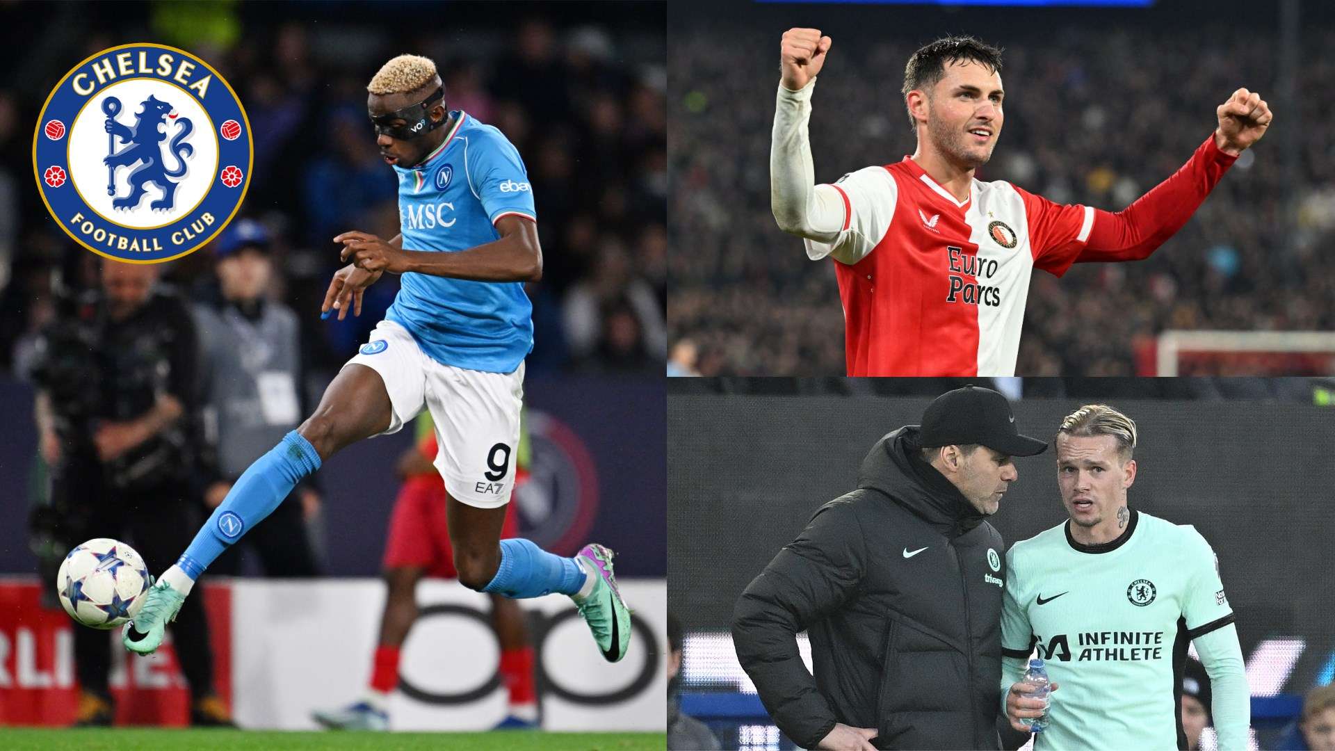 频频抓住世 频频抓住世